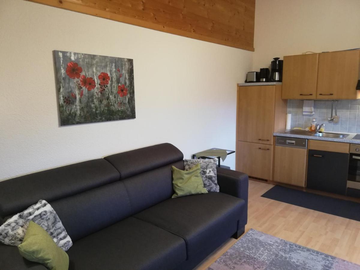 Piccolo Apartment Ebbs Exteriér fotografie